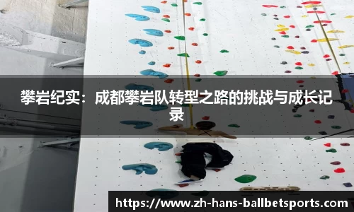 BB贝博体育首页